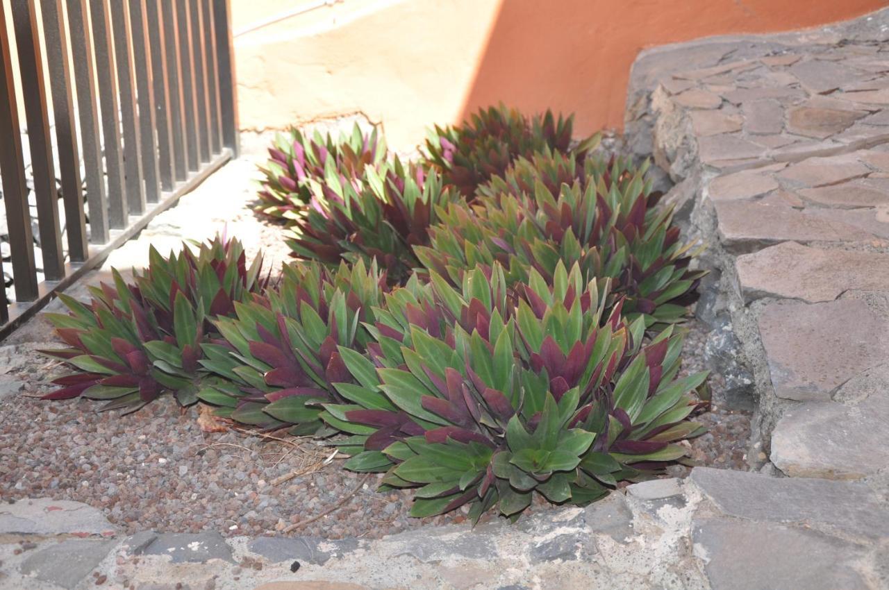Vivienda Vacacional Villa El Mirador San Sebastián de la Gomera 外观 照片